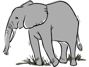 Dieren Cliparts Olifanten 