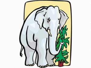 Dieren Cliparts Olifanten 