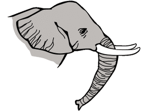 Dieren Cliparts Olifanten 