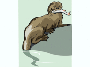 Dieren Cliparts Otters 