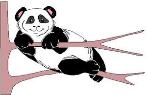 Dieren Cliparts Panda 