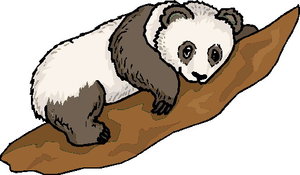 Dieren Cliparts Panda 