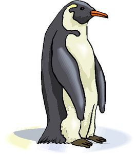 Dieren Cliparts Pinguins 