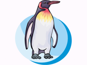 Dieren Cliparts Pinguins 