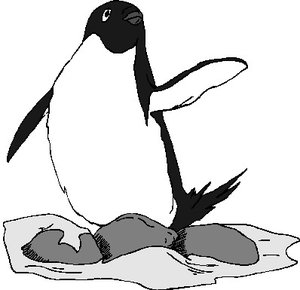 Dieren Cliparts Pinguins 