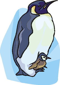 Dieren Cliparts Pinguins 