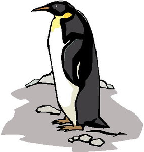 Dieren Cliparts Pinguins 