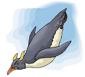 Dieren Cliparts Pinguins 