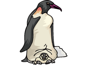 Dieren Cliparts Pinguins 