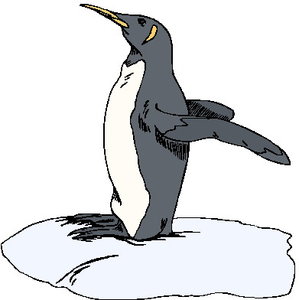 Dieren Cliparts Pinguins 