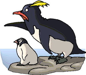 Dieren Cliparts Pinguins 