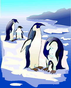 Dieren Cliparts Pinguins 