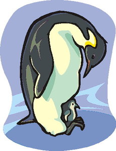 Dieren Cliparts Pinguins 