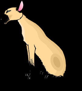 Dieren Cliparts Poezen 