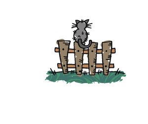 Dieren Cliparts Poezen 