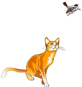 Dieren Cliparts Poezen 