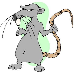 Dieren Cliparts Ratten 