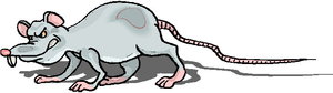 Dieren Cliparts Ratten 