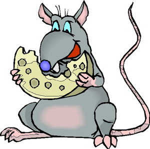 Dieren Cliparts Ratten 