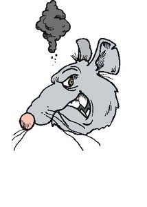 Dieren Cliparts Ratten 