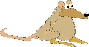 Dieren Cliparts Ratten 