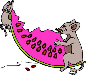 Dieren Cliparts Ratten 