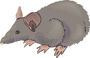 Dieren Cliparts Ratten Grijze Dikke Rat