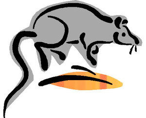 Dieren Cliparts Ratten 