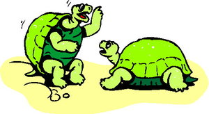Dieren Cliparts Schildpadden 