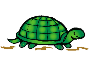 Dieren Cliparts Schildpadden 