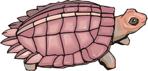 Dieren Cliparts Schildpadden 