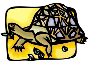 Dieren Cliparts Schildpadden 