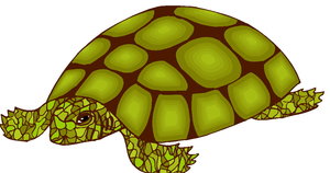 Dieren Cliparts Schildpadden 