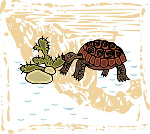 Dieren Cliparts Schildpadden 