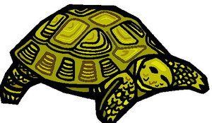Dieren Cliparts Schildpadden 
