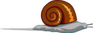Dieren Cliparts Slakken 