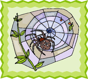Dieren Cliparts Spinnen 