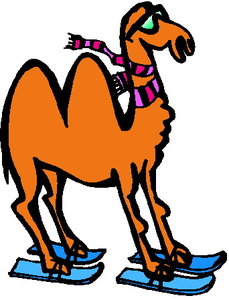 Dieren Cliparts Sportieve dieren 