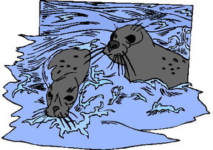 Dieren Cliparts Zeehonden en robben 