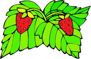 Cliparts Eten en drinken Aardbeien 