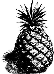 Cliparts Eten en drinken Ananas 