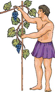 Cliparts Eten en drinken Druiven 