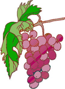 Cliparts Eten en drinken Druiven 