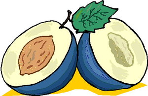 Cliparts Eten en drinken Pruimen 