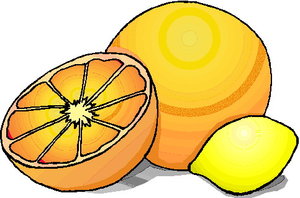 Cliparts Fruit Grapefruits 