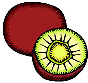 Cliparts Fruit Kiwis 