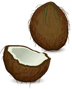 Cliparts Fruit Kokosnoten 