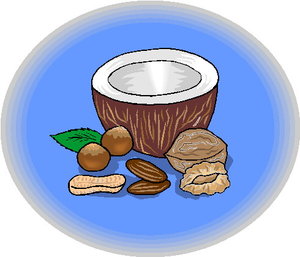 Cliparts Fruit Kokosnoten 