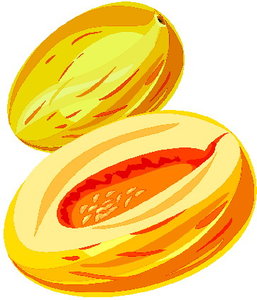 Cliparts Fruit Meloenen 