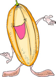 Cliparts Fruit Meloenen 